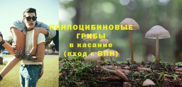 а пвп мука Алзамай