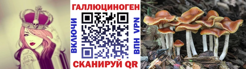 Галлюциногенные грибы Psilocybe  omg рабочий сайт  Покров 